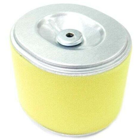 Filtre à air moteur Honda GX240 et GX270 (1/5)