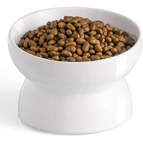 Pack de bols de nourriture surélevés pour chat, bols en céramique pour chat, bol surélevé incliné anti-vomissements pour chat, bol de nourriture en céramique pour animaux de compagnie pour nourriture (1/5)
