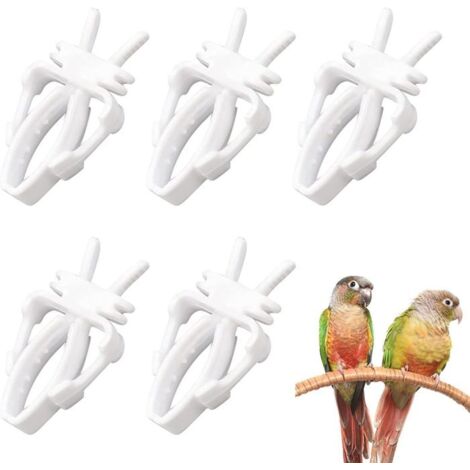 Pince à Fruits pour Oiseaux, Outil de Fruit de Perroquet Oiseaux, Porte-Nourriture pour Oiseaux, Mangeoire, 5 pièces (1/4)