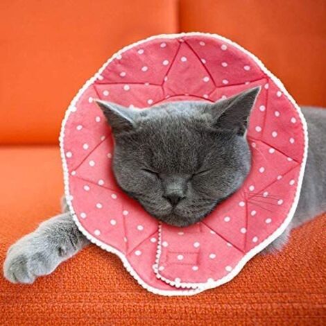 Collerette confortable pour animaux – En mousse et tissu doux – Imperméable et résistant aux griffures – Attache Velcro réglable – Einemgeld