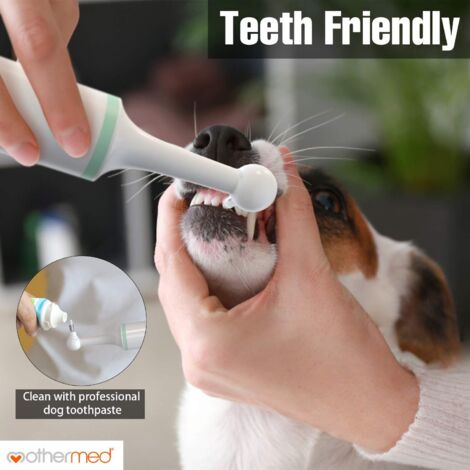 Nettoyeur à Ultrasons Pour Dents De Chien - Élimine Plaque Et Tartre - Neuf