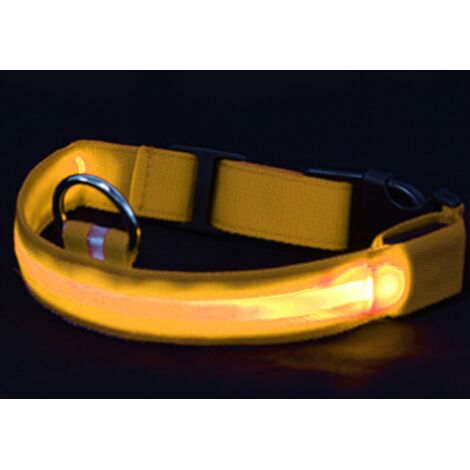 Collier Led Pour Chien Rechargeable Par Usb - Collier Lumineux Lumineux Et Haute Visibilité Pour La Marche Nocturne Des Animaux De Compagnie (1/4)
