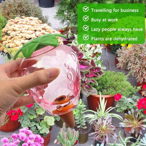Lot De 2 Grandes Boules D'Irrigation 500 Ml - Arrosage Automatique Pour Plantes En Pot Et Jardin