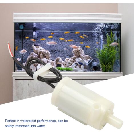 Pompe Aquarium Qui Fait Du Bruit