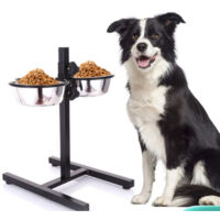 Porte Gamelle pour Chien, Gamelles pour chiens acier inoxydable,Réglable en hauteur