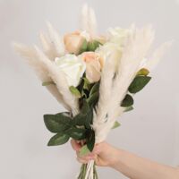 30 Queues De Chat Naturelles Séchées XXL Pour Bouquets Et Déco Maison - Longueur 43,2 Cm, Diamètre 1,8 Cm