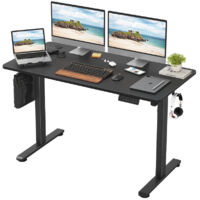 Electric Height Adjustable Standing Desk Office Computer Desk Stand Up Desk For Home Office, 120cm, Black