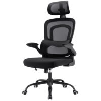 Ergonomic Office Chair, Desk Chair with Headrest, High Back Computer Chair with Armrests and Lumbar Support for Home Office, Study Room, Black & Dark Black