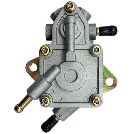 RHG Pompe à carburant D300, adaptée à la pompe à carburant H300 G300 260cc 300cc (1/4)