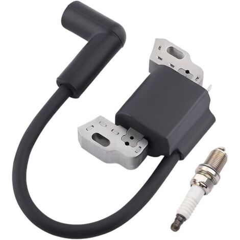Bobine d'allumage de rechange pour moteurs 799582 798534 593872 595009 596532 (1/5)