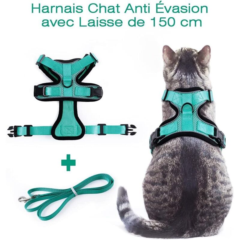 Harnais Et Laisse Réfléchissants Pour Chat - Taille S, Réglable, Anti-fugue, Avec Laisse Rétractable 5 M