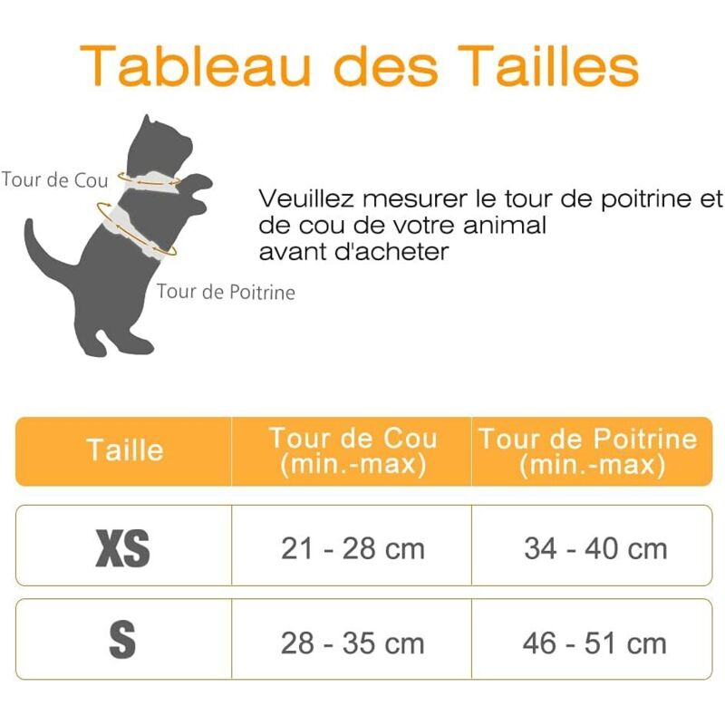 Harnais Pour Chat Laisse Pour Petit Chien Harnais Pour Chaton Réglable