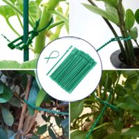 Lot De 10 Attaches Pour Plantes – Caoutchouc Doux, Réglables, Résistantes UV – Longueur 50 Cm, Support Arbres