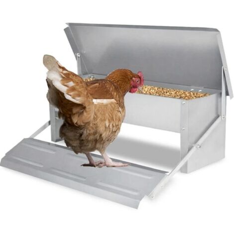 Mangeoire Volaille Mangeoire Automatique Poulet Mangeoire Canards 5KG (1/5)