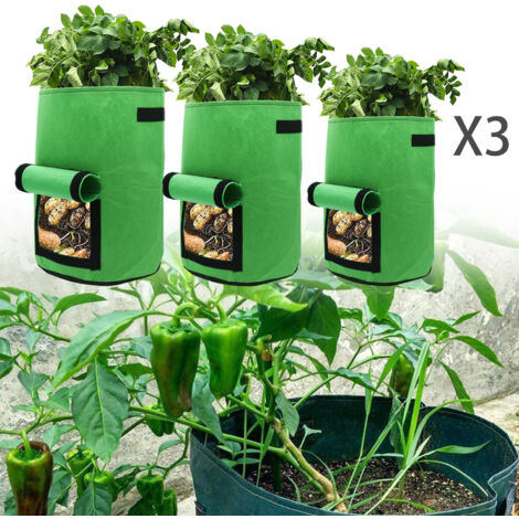 EINFEBEN 3X Sac de plantes avec fenêtre Balcon Jardin respirant Sac de plantes vertes 3035cm 28L Tissu non tissé (1/4)
