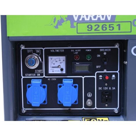 Varan Motors - 92651 Groupe électrogène Diesel 3300W, 2 x 230V, 1 x 12V
