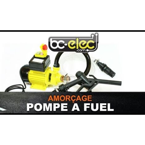 Pompe à fuel / gasoil avec clapet anti-retour, crépine d'aspiration, 12V  40l/min 150W, Pistolet automatique