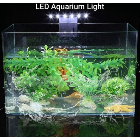 Aquarium Transparent Bocal à Poissons - Décoratif Pour Bureau, Salon, Salle De Bain | PET Durable, Visibilité 360°, Entretien Facile - 7