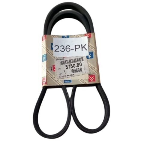 4pk855 cinghia poly-v alternatore servizi originale (1/5)