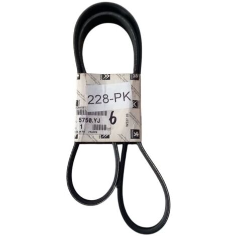 4pk1090 cinghia poly-v alternatore servizi originale (1/5)