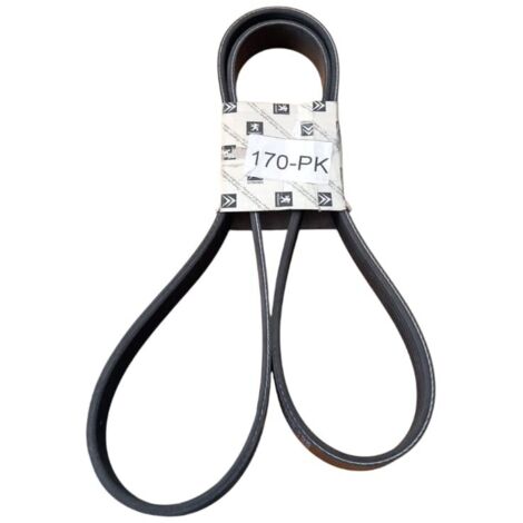 6pk1356 cinghia poly-v alternatore servizi originale (1/5)