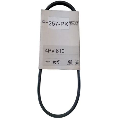 4pk610 cinghia poly-v alternatore servizi marca dongil superstar (1/5)