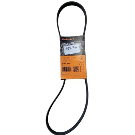 6pk976 cinghia poly-v alternatore servizi marca continental (1/5)