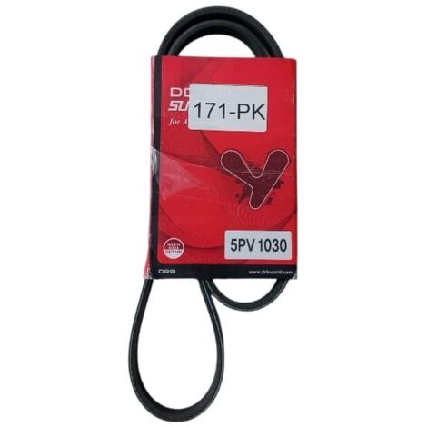 5pk1030 cinghia poly-v alternatore servizi marca dongil superstar (1/5)