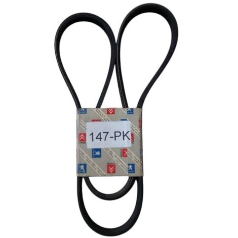 5pk1100 cinghia poly-v alternatore servizi originale (1/5)