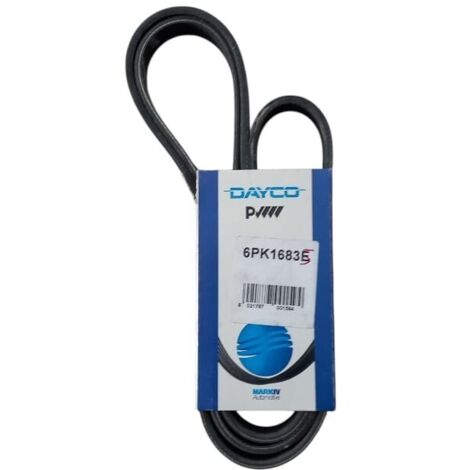 6pk1683e cinghia poly-v alternatore servizi marca dayco (1/5)