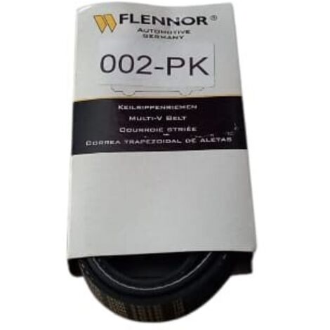 6pk1123 cinghia poly-v alternatore servizi marca flennor (1/5)