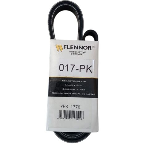 7pk1770 cinghia poly-v alternatore servizi marca flennor (1/5)