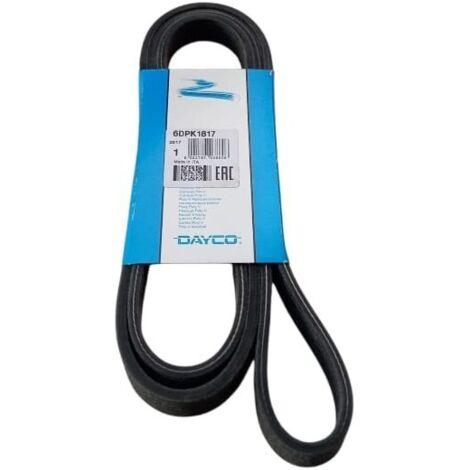 6dpk1817 cinghia poly-v alternatore servizi marca dayco (1/5)