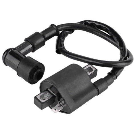 Bobine d'allumage pour scooter et moto tout-terrain – Améliore l'efficacité de combustion – Compatible 125CC à 250CC – Installation rapide - ATV 125 CC