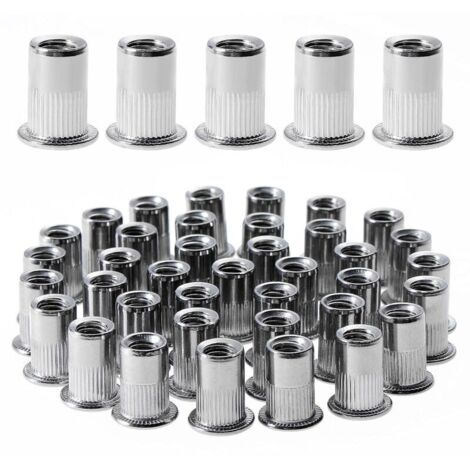 100x Edelstahl A2 Blindnietmuttern M6 – Flachkopf Produktbild-Vorschau 4