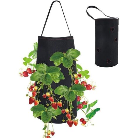 Sac de Plantation de Fraises Sacs de Culture Sac de Plantation Jardin pour Fraise pour Plantes de Jardin Herbes Fleurs 38  22cm