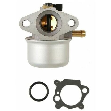 Carburador de motor Briggs & Stratton - 498170
