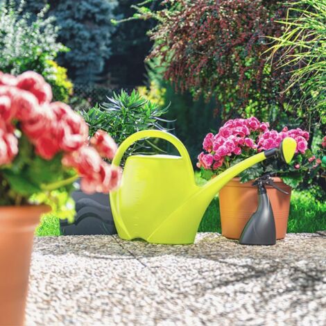 Arrosoir Medusa 1,8 L Vert - Mini Arrosoir Pour Plantes D'intérieur Et Extérieur | Bec Long Et Poignée Confortable