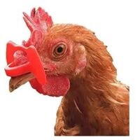50 LUNETTES ANTI-POULES CASSEUSES D'ŒUFS