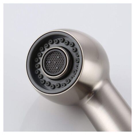 Douchette Robinet Cuisine 2 Jets Tête de Douche Remplacement Douchette pour Mitigeur Cuisine,Nickel Brossé (1/5)