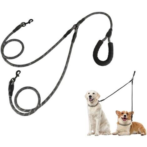 Double laisse pour chien (1/5)