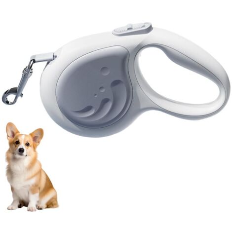 Laisse rétractable pour chien (1/5)
