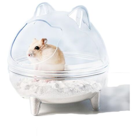 Chambre transparente pour cochon d'Inde (1/5)
