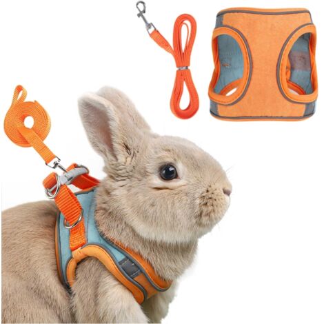 Harnais avec laisse pour lapin et petits animaux (1/5)