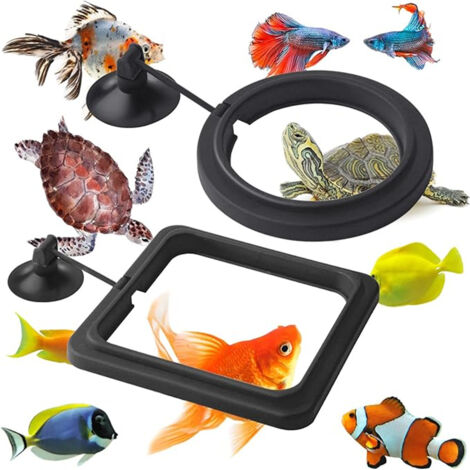 Anneaux de nourriture pour aquarium (1/5)