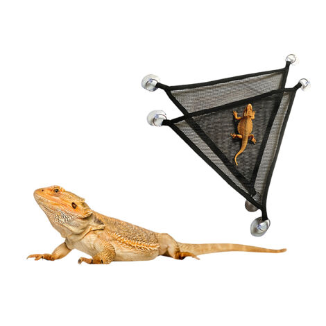 Hamac pour lézard et reptiles (1/5)
