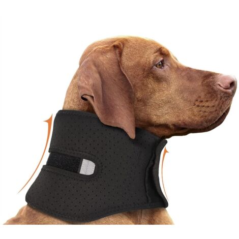 Collier de récupération pour chien