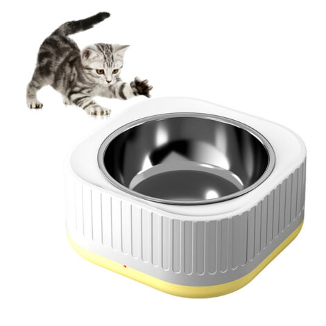 Bol à température constante pour chats et chiens (1/5)
