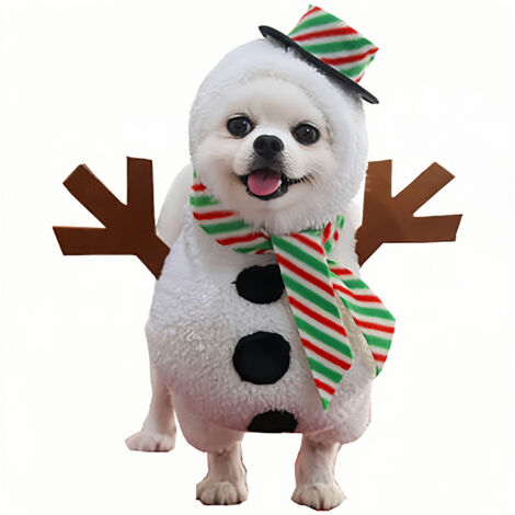Costume de Noël pour animal de compagnie (1/5)