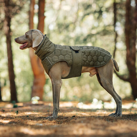 Veste d'hiver pour chien